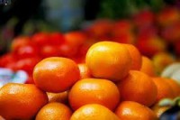 Mandarina  Orri 1 kg